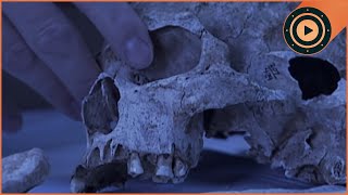 Cincinnati's Hidden Cemetery: Construction Crew Finds 2,500 Human Bones