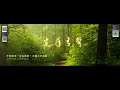 开荒 開荒 君临 君臨 华播之声演播 【 第0037集 至 第0072集 】