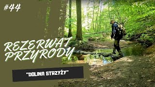 Rezerwat Przyrody \