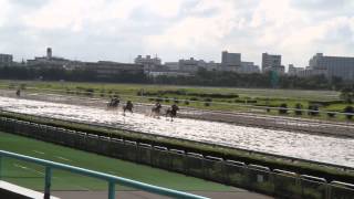 平成25年度　第6回　船橋競馬　能力調教試験　２Ｒ　２歳能力