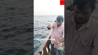 catching in sea fish #comment #share #like #views #kasimedu #fishing #follow #neerinmagan_official