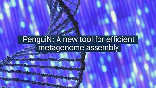 PenguiN efficiently assembles complex viral genomes and bacterial RNA genes