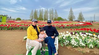 Akebonoyama Agriculture Park(あけぼの山農業公園)7April2023