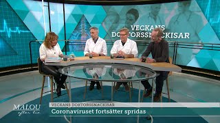 Doktorerna - det senaste om Corona-viruset - Malou Efter tio (TV4)