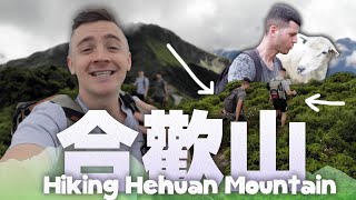 一日爬合歡山 // 外國人首次在台灣登山 Hiking Hehuan Mt. Taiwan @ManuelAbeni  @Agoda