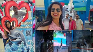 Amazing Dubai Dolphin 🐬 show || Creek park Dubai || Dolphinarium show 👌🏻🫣||