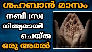 ശഹബാൻ മാസം നബി (സ) ചെയ്ത്തിരുന്ന ഒരു അമൽ.... Al Noor Malayalam Islamic Channel