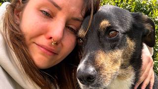 Mon plus grand amour mais aussi mon plus grand chagrin 🤍🕊️