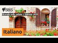 giornale radio sabato 1 febbraio 2025 sbs italian sbs in italiano