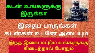 கடன்கள் தீர ஒரே வழி இந்த இலை உங்களுக்கு கிடைத்தால் நீங்கள் தான் அதிர்ஷ்டசாலிகள்