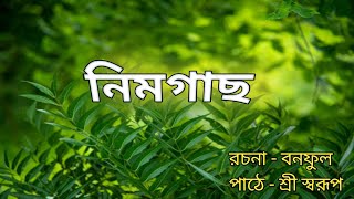 নিমগাছ রচনা - বনফুলপাঠে - শ্রী স্বরূপ