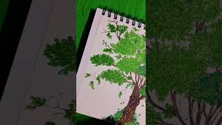 Lost in the beauty of green and blue #shorts #viralvideo #drawing #popular #followers