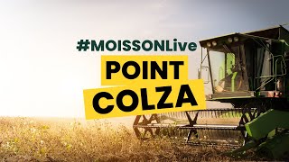 Point Moisson Live Colza, le 2 août 2024