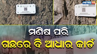 ଡିଜିଟାଲ ଟ୍ରି ଆଧାରରୁ ଜାଣନ୍ତୁ ଗଛର ପରିଚୟ || Metro Tv Odisha ||