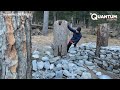 man builds survival stone shelter in the forest start to finish by @thinkwilderness