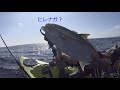 カヤックフィッシング　スパンカー使ってジギングしたら超快適！　シーバスとカンパチが遊んでくれたよ！　vlog fishhunter no.25