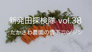 新発田探検隊 vol.38 たかさわ農園の雪下ニンジン