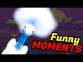 Funny Feather Family Moments 3