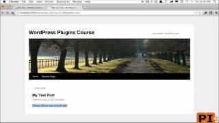 4 wordpress shortcode Specifying Content