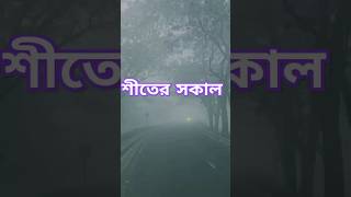 শীতের কুয়াশামাখা সকালে চাঁদপুর গাছতলা কেমন হলো ভিডিও টা💞💫💞 #videoviral #chandpur #tanding #fouryou