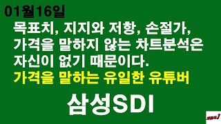 1월16일 차읽사j 삼성SDI