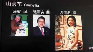 （🌺💐🌸山茶花🌸💐🌺）我是来自美国柬埔寨🇰🇭第三代的华人 今天送上这首歌 谢谢大家 请收听