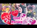 Good Morning Status Video. Good Morning whatsapp Status Video
