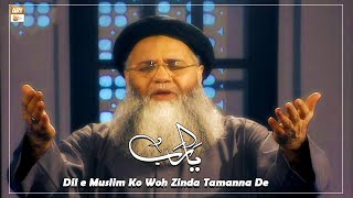 Ya Rab Dil e Muslim Ko Woh Zinda Tamanna De = Kalam: Allama Iqbal by Abdul Rauf Rufi