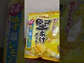 るろうにん生存日記　eat　堅あげポテト　ゆず塩レモン味