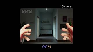 DOG vs CAT - POPPY PLAYTIME CHAPTER 3 | GH'S ANIMATION