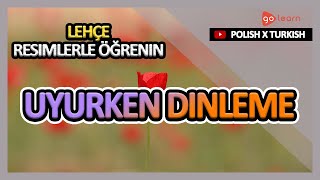 Lehçe Resimlerle Öğrenin | Lehçe Kelime Bilgisi Uyurken Dinleme | Golearn