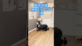 【猫背 改善 胸椎 ストレッチ】猫背を改善する胸椎回旋ストレッチ①　#shorts #猫背改善 #胸椎