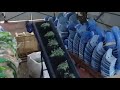 ukrainian shredder ecopolymer shark es15.2 shredding of ldpe agriculture film