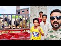 Subscribe Ko kha mila Ma | Cow kha Chali |Farm pa Q Baja Cow Ko | Shehroz Jutt Vlogs