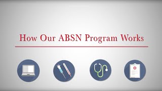 How the Northeastern ABSN Program Works