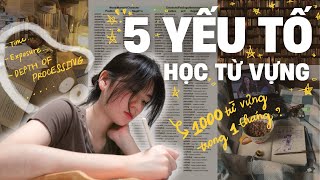 5 yếu tố giúp bạn học từ vựng hiệu quả (science-based)