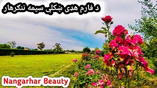 Nangarhar Faram Hada Park | Unseen Nangarhar | Afghanistan Beauty | Afghan Vlog | ننګرهار جلال اباد