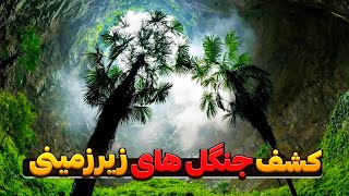 عجایب جهان جنگلی زیر زمین