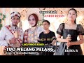 lagu bugis abadi || tuo welang pelang || artist risma ramadhani || live asifa music