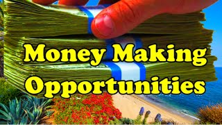 Money Making Opportunities in 2021 (live discussion)