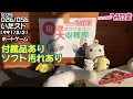 秋の収穫祭❗ファミコンカセット（レア・箱説アリ）大量開封【合計 万円】【ファミコン堂】