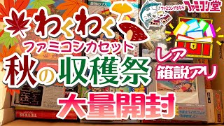 秋の収穫祭❗ファミコンカセット（レア・箱説アリ）大量開封【合計?万円】【ファミコン堂】