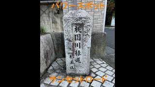 【箸休め】パワースポット？・サンセットロード・杉並区  桃園川緑道