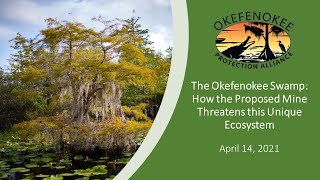 The Okefenokee Swamp How the Proposed Mine Threatens this Unique Ecosystem