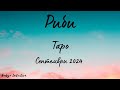 Риби ♓ Таро ❤️ Провокация! Септември 2024