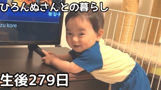 ひろんぬさんとの暮らし👶【生後279日】