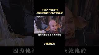 长这么大才发现 原来猴哥跟八戒才是真爱