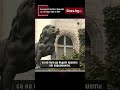 България в битка с времето за 2,8 млрд. евро по ПВУ