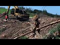 alpine shovel yarder and alpine grapple carriage in new zealand 2