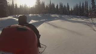 Iron Dog 2019 -  Kaltag to UNK - Bit 'o two up riding after the DF creek rescue